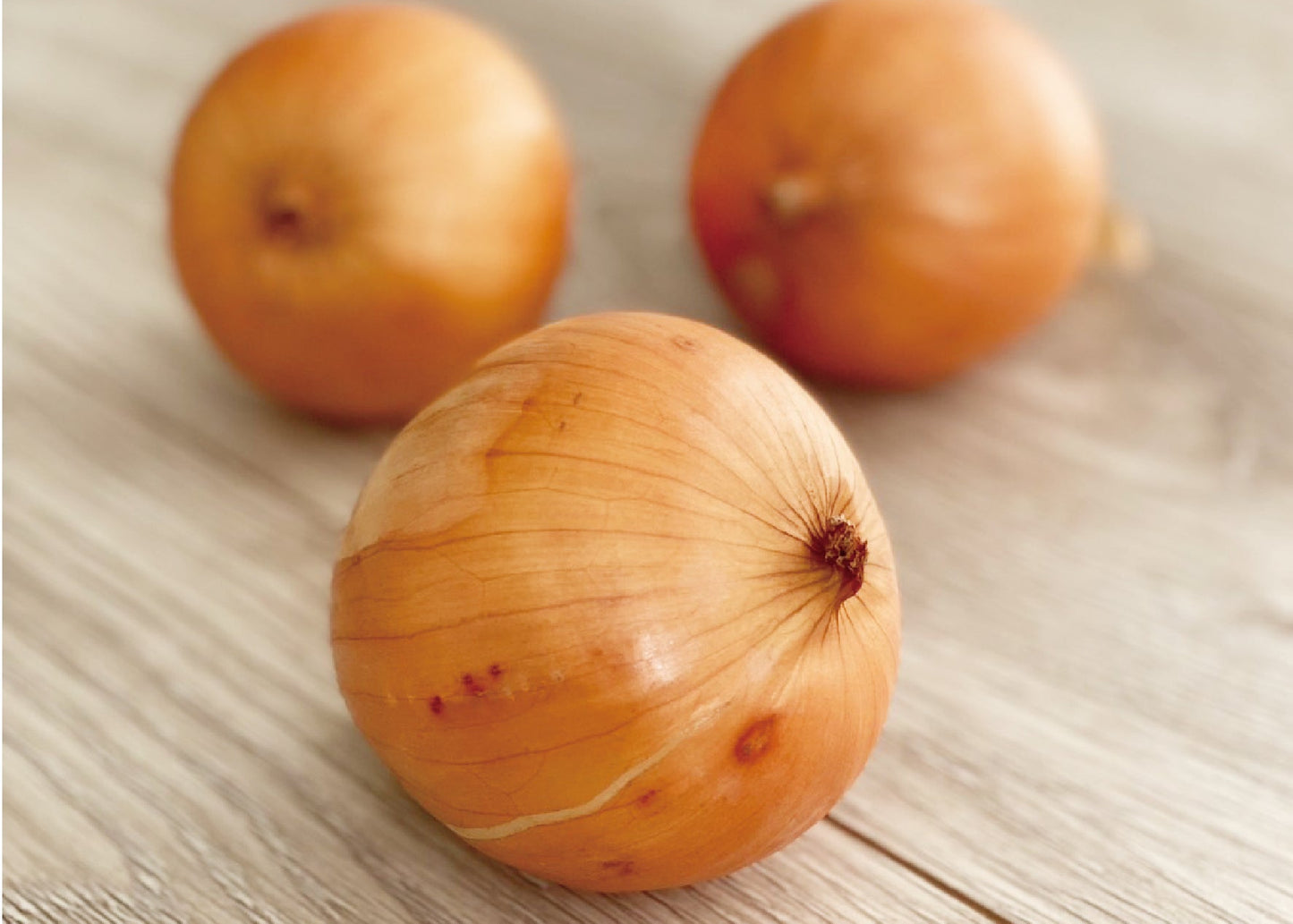 有機玉ねぎ(サイズミックス)