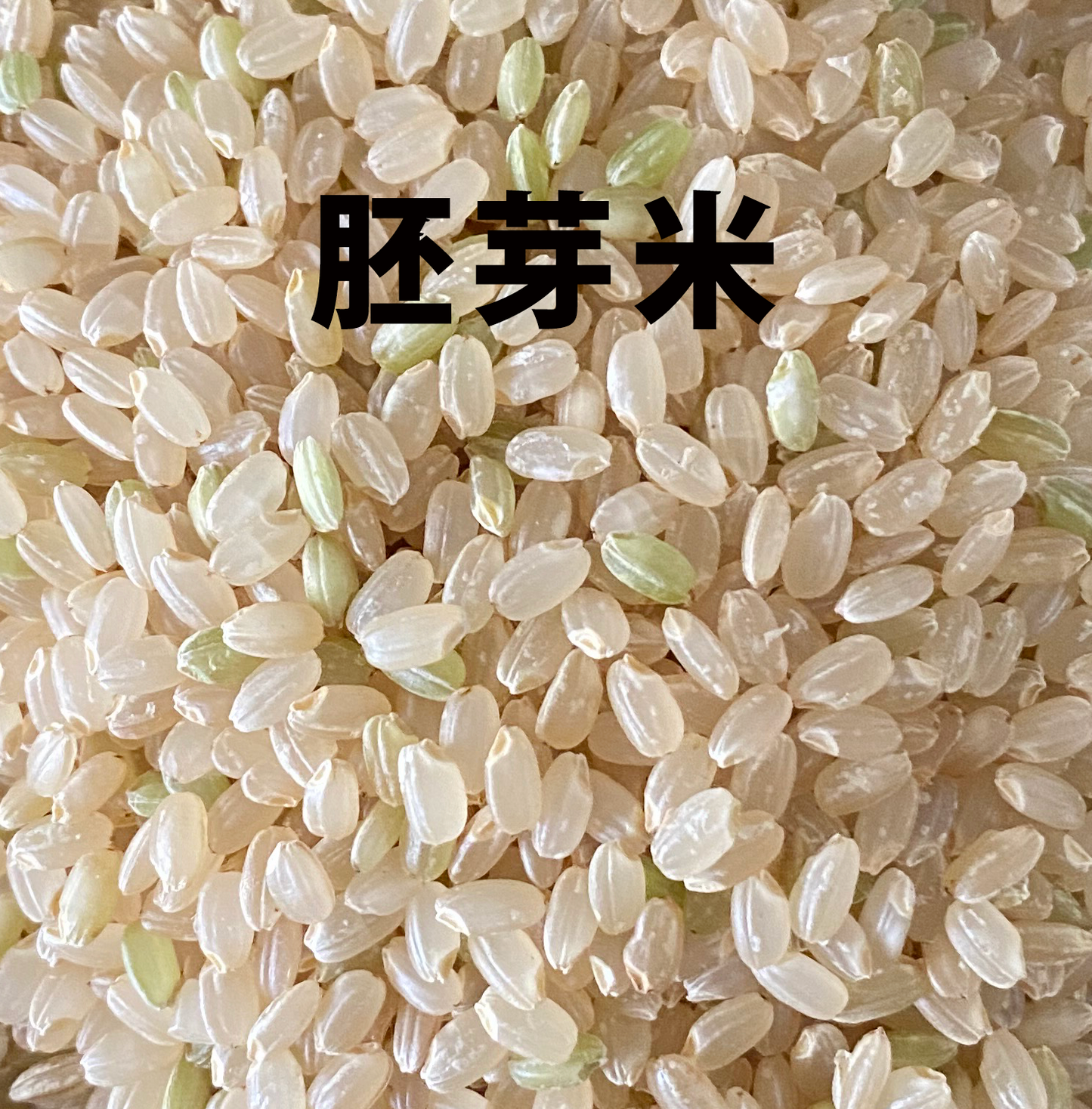 R5年産新米　特別栽培米｜駒義（こまよし） ｜1㎏