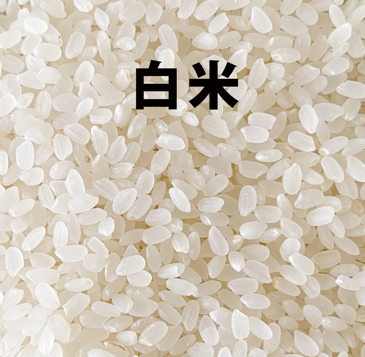 【定期便】R5年産新米　特別栽培米｜駒義（こまよし）