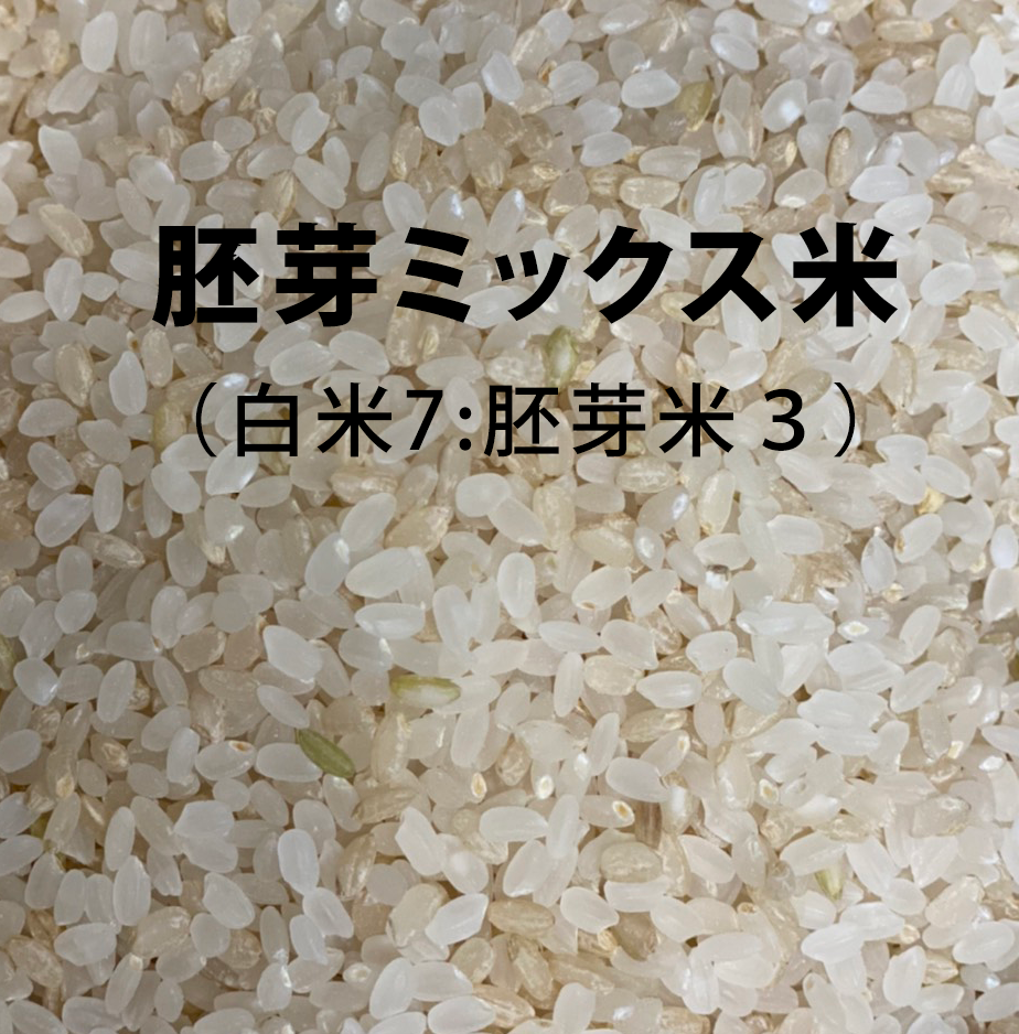 【定期便】R5年産新米　特別栽培米｜駒義（こまよし）